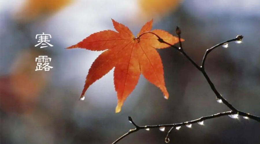 寒露時(shí)節(jié)！金環(huán)電器提醒大家要注意的事項(xiàng)