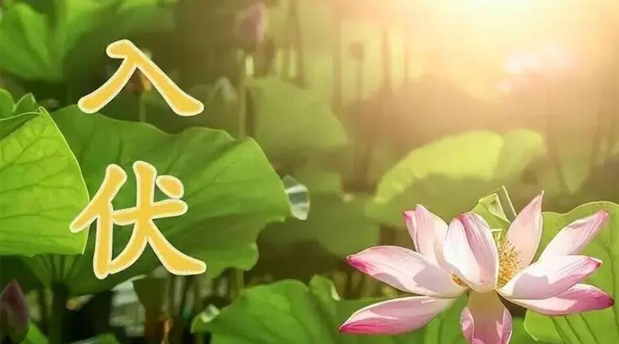 入伏天來襲！金環(huán)電器提醒大家要注意的事項