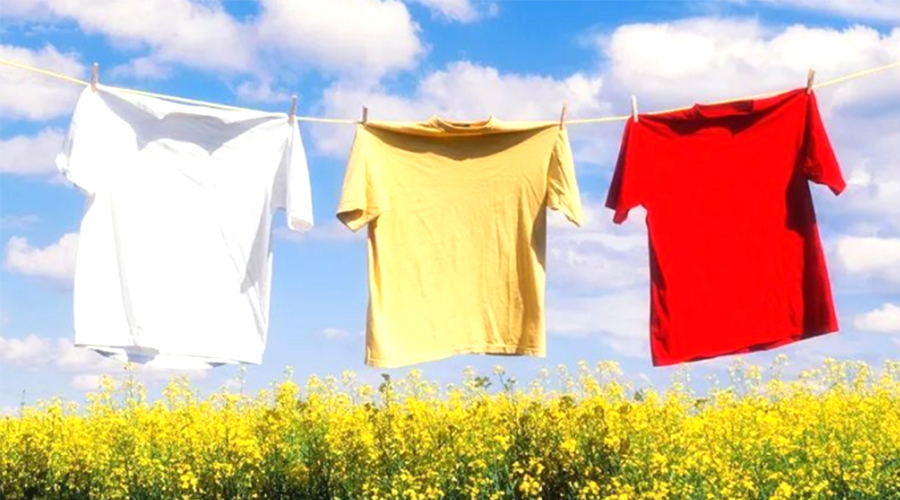 三伏天持續(xù)40天！金環(huán)電器提醒高溫天氣下晾曬衣物的弊端