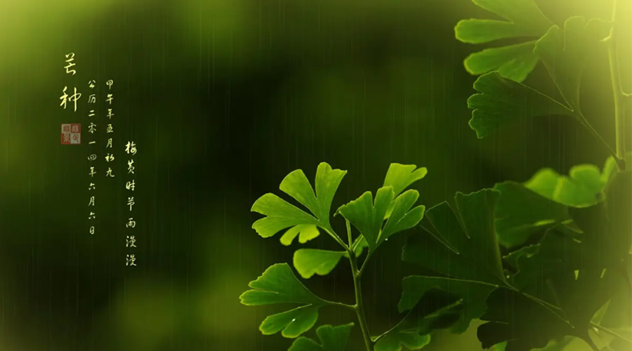 芒種時節(jié)！金環(huán)電器提醒大家的注意事項