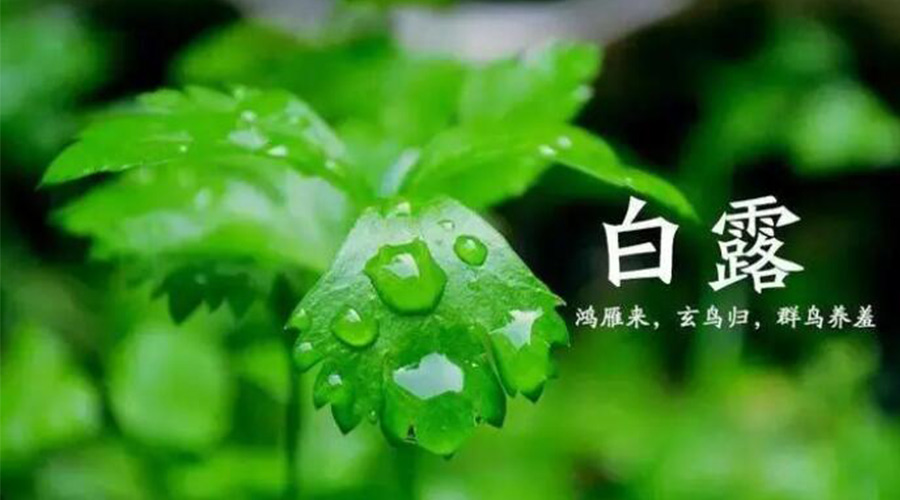 白露時節(jié)！金環(huán)電器提醒大家要注意的事項